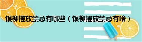 銀柳擺放位置|銀柳風水2023：何種顏色最旺運？